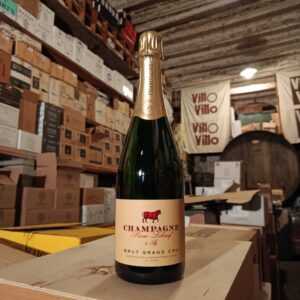 Champagne Brut Grand Cru Ay