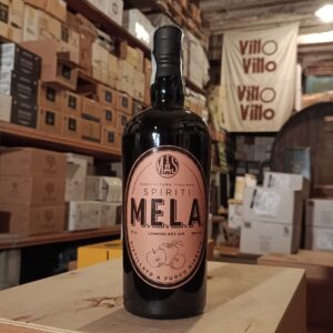 Gin M.E.L.A.