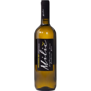 Malvasia Venezia Giulia Igp