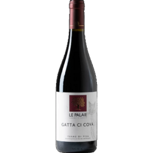 Terre di Pisa Rosso Doc "Gatta di Cova"