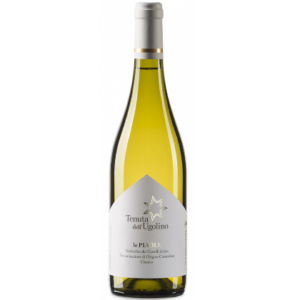 Verdicchio dei Castelli di Jesi Doc Classico "Le Piaole"
