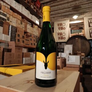 Vino bianco frizzante "Testardo"